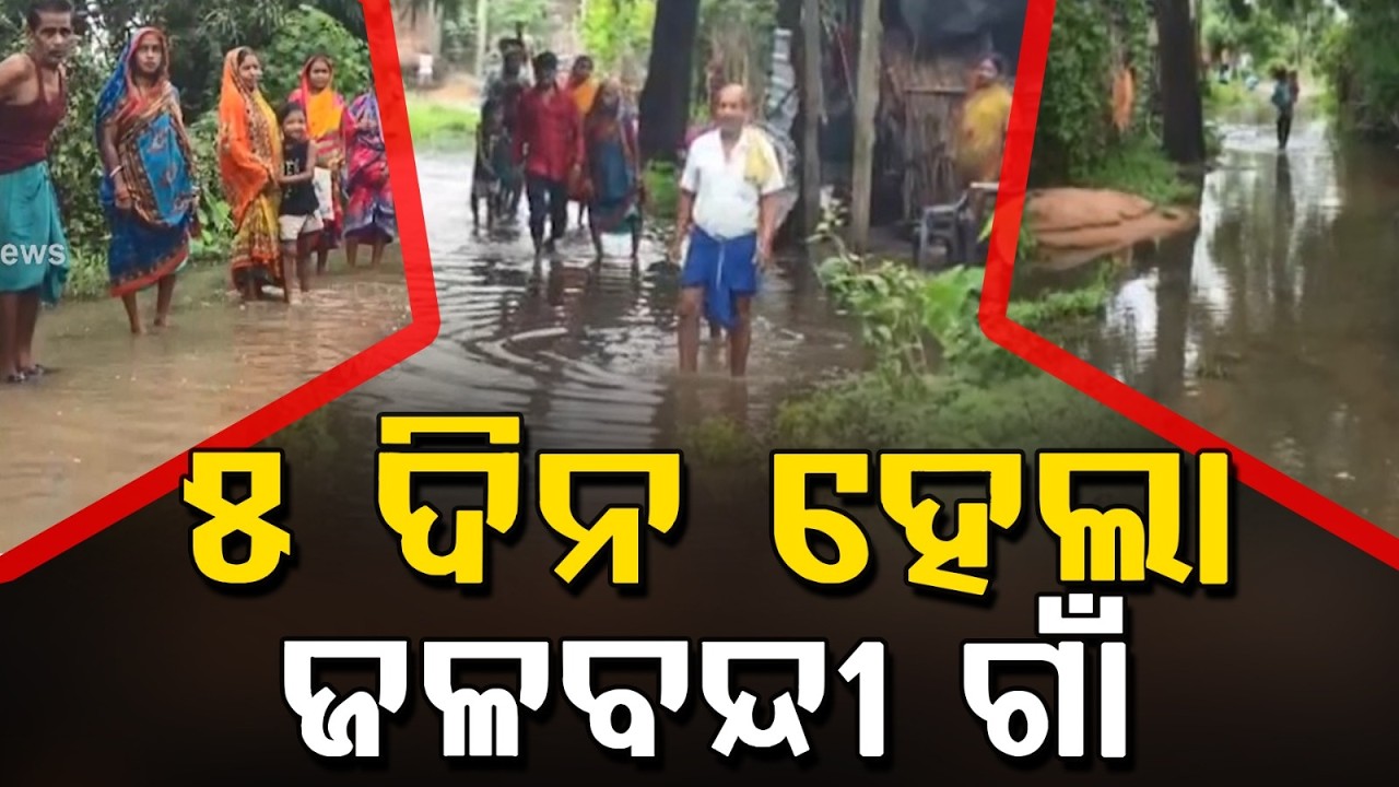Keonjhar Rain Fury: Several Families Waterlogged For 5 Days In Hatadihi | Argus News