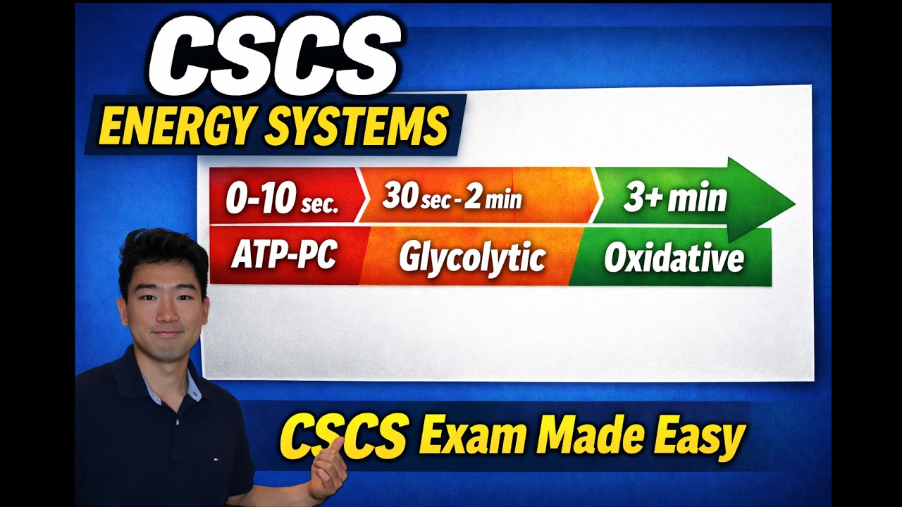 Энергетические системы и биоэнергетика: объяснение для экзамена CSCS (АТФ-ФУ, гликолитическая акт...