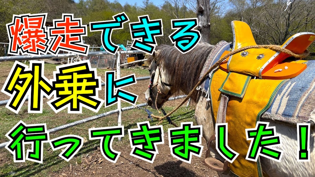 【乗馬Vlog】外乗で思いっきり走ってきた　horse trekking in Mongolian way