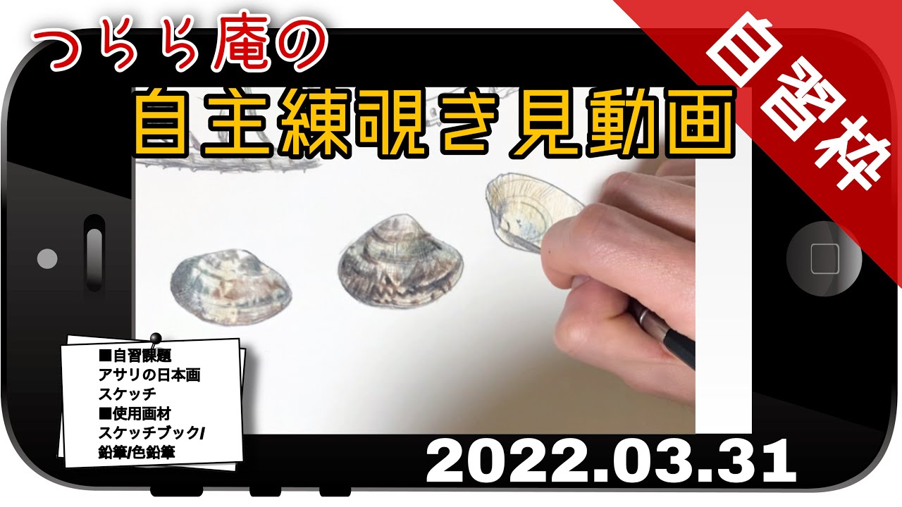 【つらら庵自習】課題:アサリの日本画スケッチ 使用画材:鉛筆/色鉛筆2022.03.31