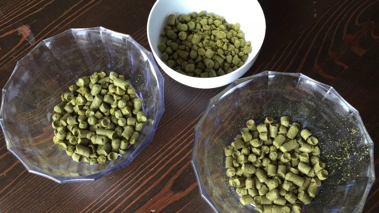 Preparación de una IPA negra