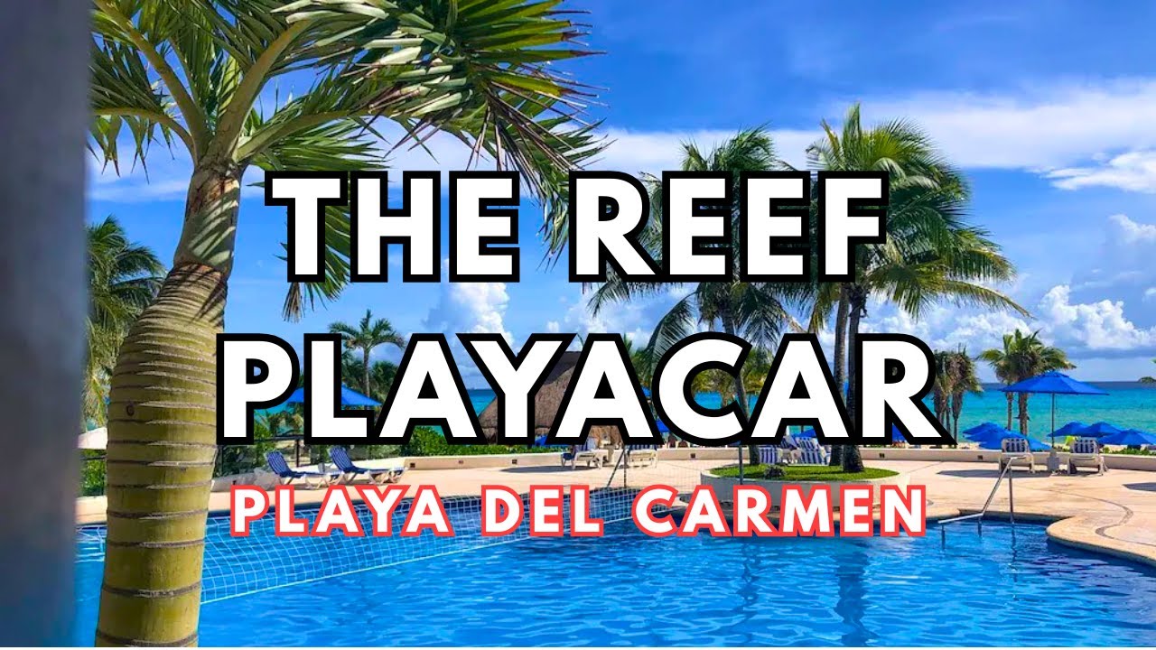 THE REEF PLAYACAR | PLAYA DEL CARMEN CANCUN