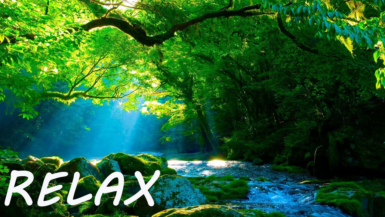 Soothing Music to Positive Feelings - Beauty Nature