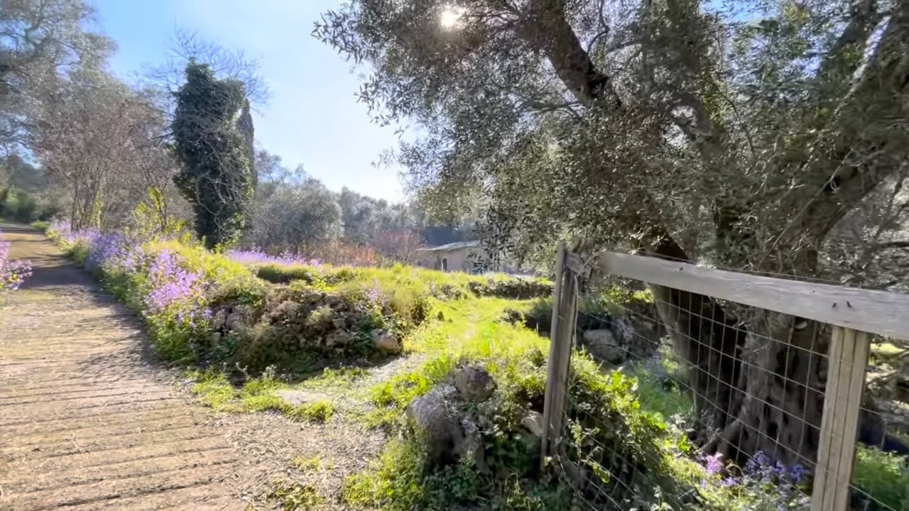 Κέρκυρα (κεντρική) Λιαπαδες central Corfu Liapades Kerkyra Greece