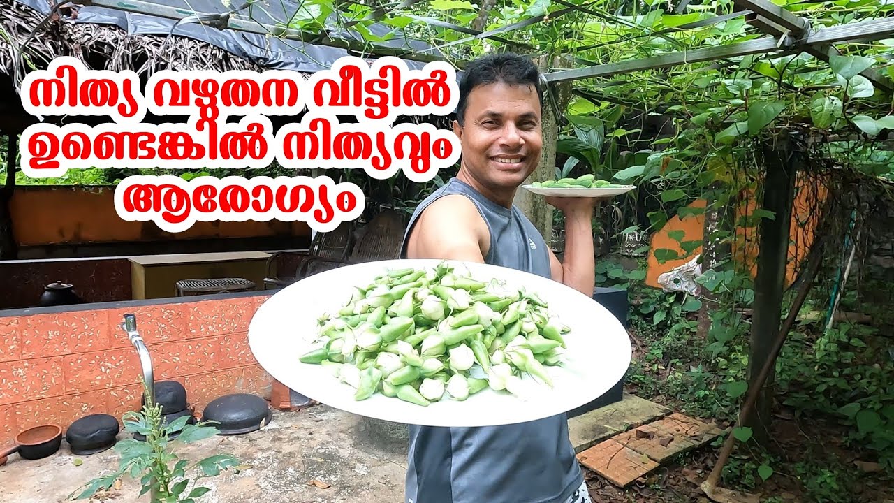 നിത്യ വഴുതനയുടെ ഗുണങ്ങൾ പറഞ്ഞാൽ തീരില്ല //Nithya Vazhuthana Mezhukkupuratti //AJU'S WORLD
