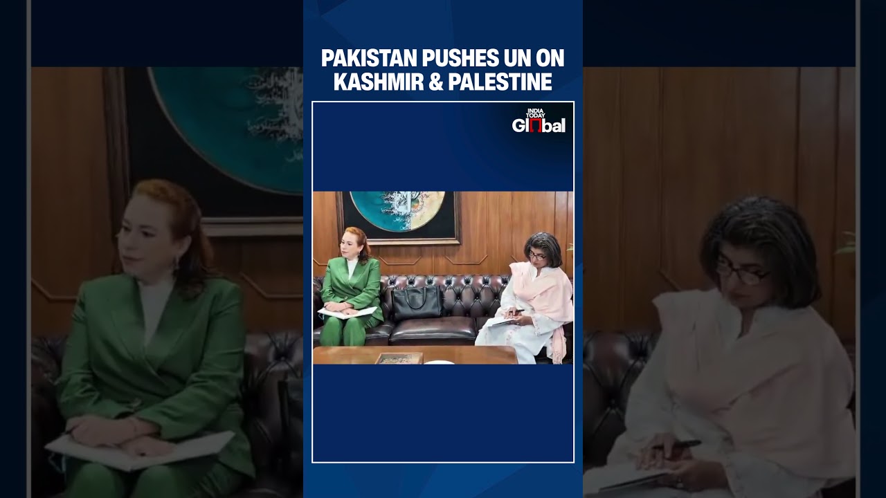 Pakistan Backs UN Reforms, Demands Action On Kashmir And Palestine Before New Secretary-General
