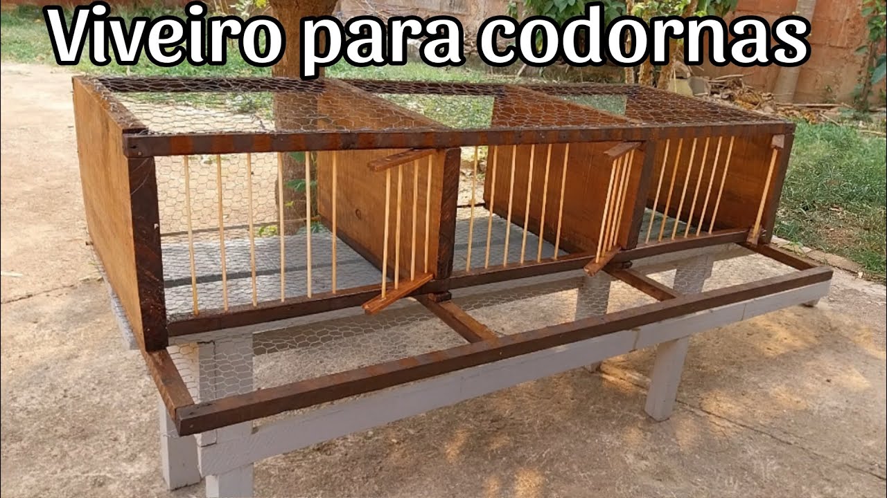 Passo a passo de como fazer um viveiro gaiola para codornas