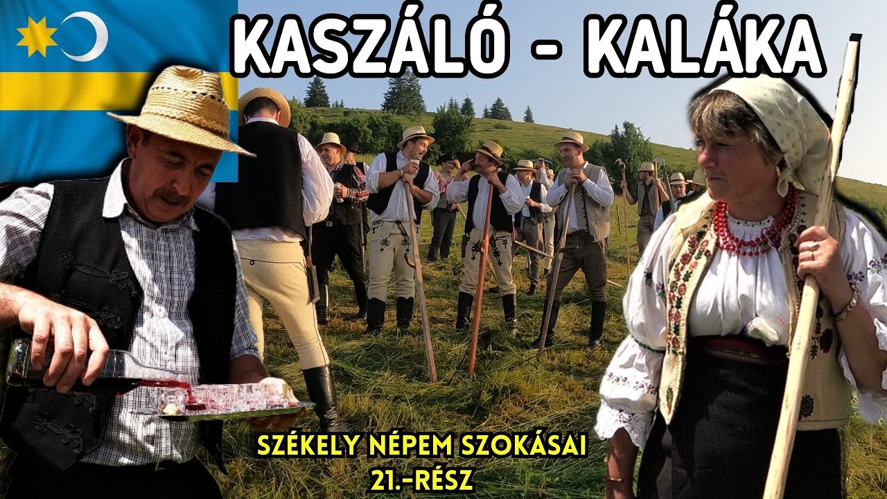 KASZÁLÓ-KALÁKA ! ,,A kakasnak mű kukorékolunk!
