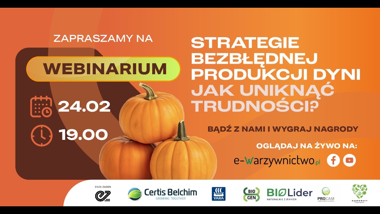 Enza Zaden: Strategie bezbłednej produkcji dyni