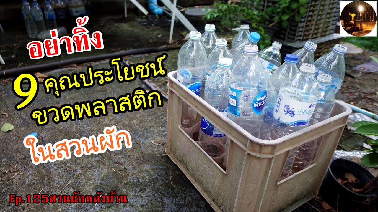 9ประโยชน์ของขวดพลาสติกสำหรับสวนผัก #Ep.125สวนผักหลังบ้าน
