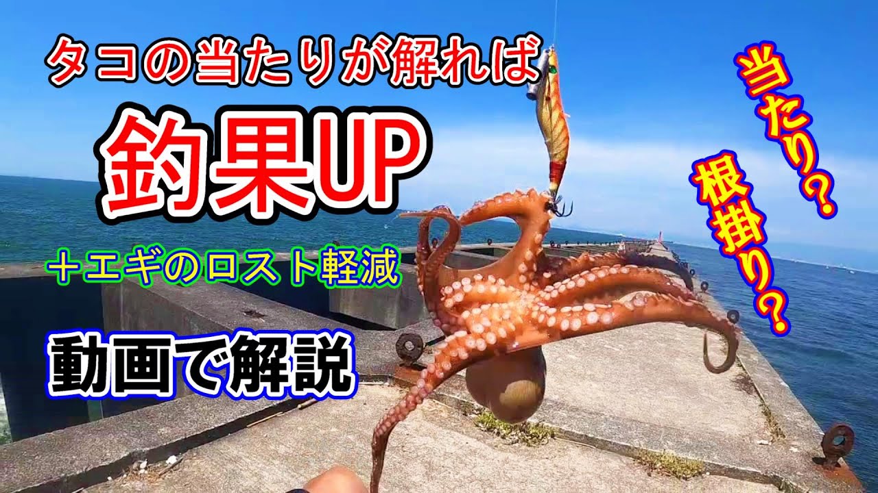 【裏技公開】釣果アップの秘訣を動画で解説！タコの当たりと根掛かりの違い。