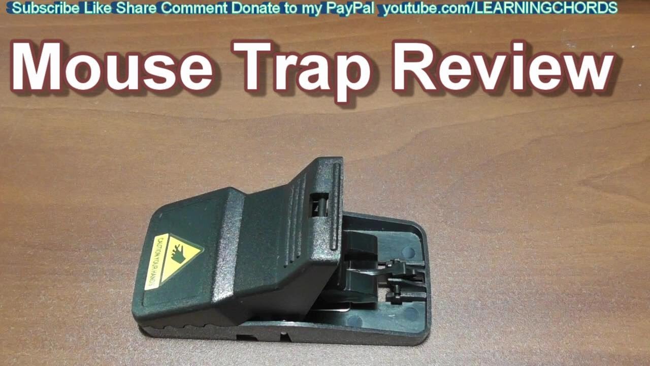 Мышеловка от Feeke Mice Traps Awesome Trap МОЯ ЛЮБИМАЯ ОБЗОР Мышеловки