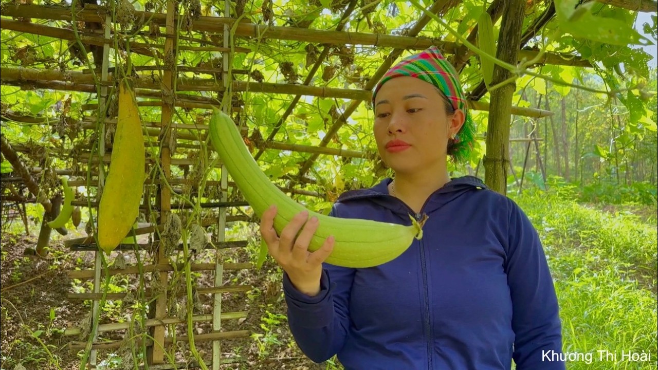 Harvesting fragrant gourds and radishes to sell at the market.
