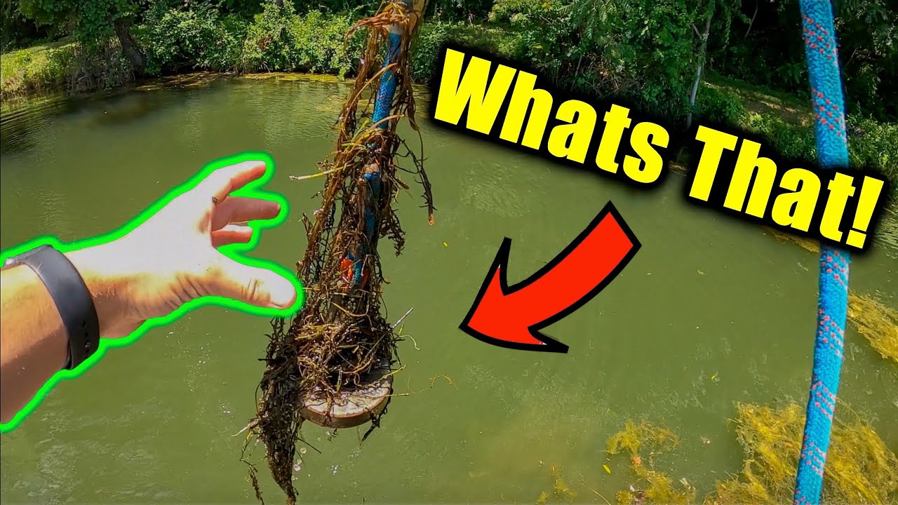 I Took My 1500lbs Magnet To A Fishing dock (Unbelievable Finds)