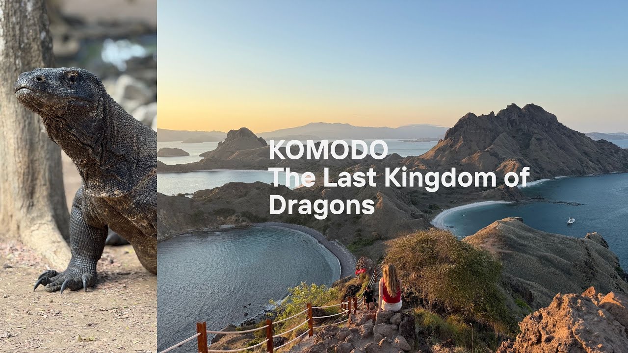 Komodo | The Last Kingdom of Dragons | ZCUBA | Angelica