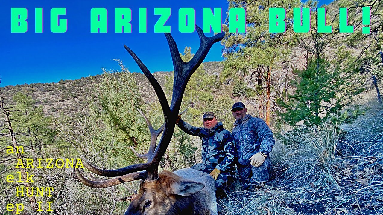 ELK HUNTING ARIZONA | BIG BULL DOWN! | LATE RIFLE BULL