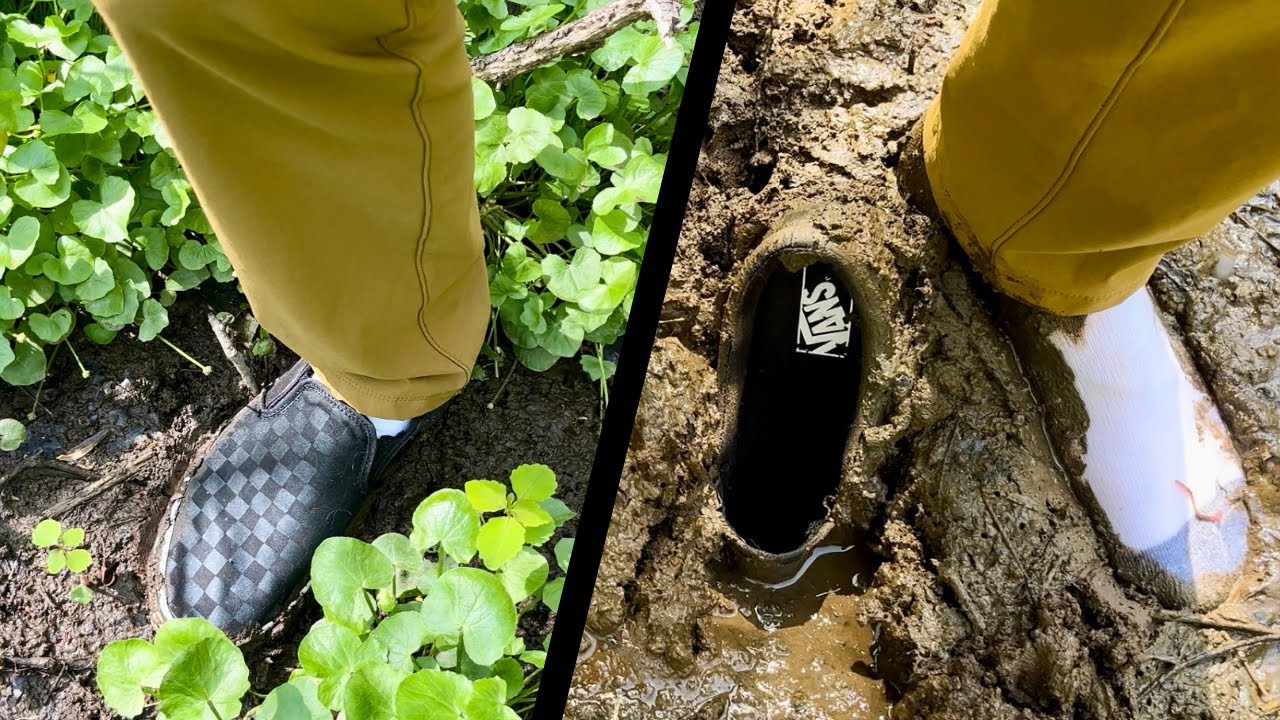 Vans & White Socks on a Boggy Lakeside Hike (Part 1 of 2)