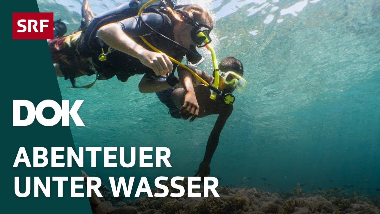 Faszination Wasserwelt &ndash; Von Haien, Eisbergen und versunkenen Wracks | Doku | SRF Dok