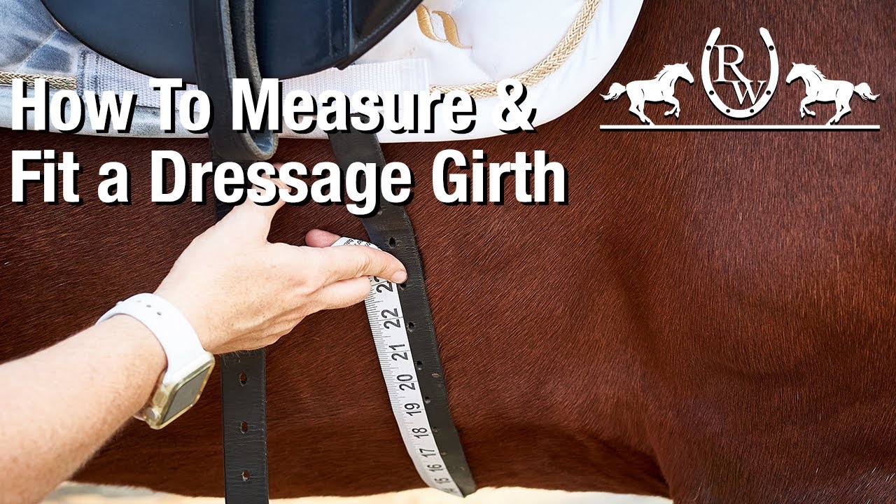 How to Measure and Fit for a Dressage Girth
