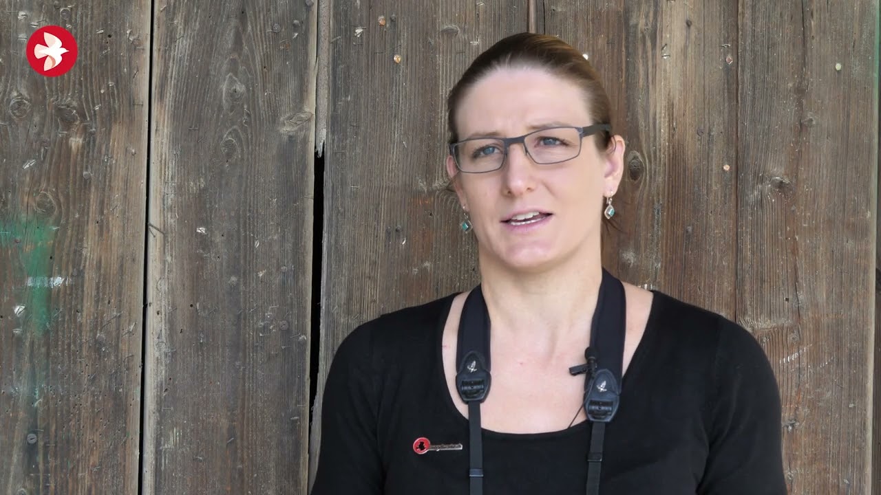 Nichoirs pour oiseaux semi-cavernicoles