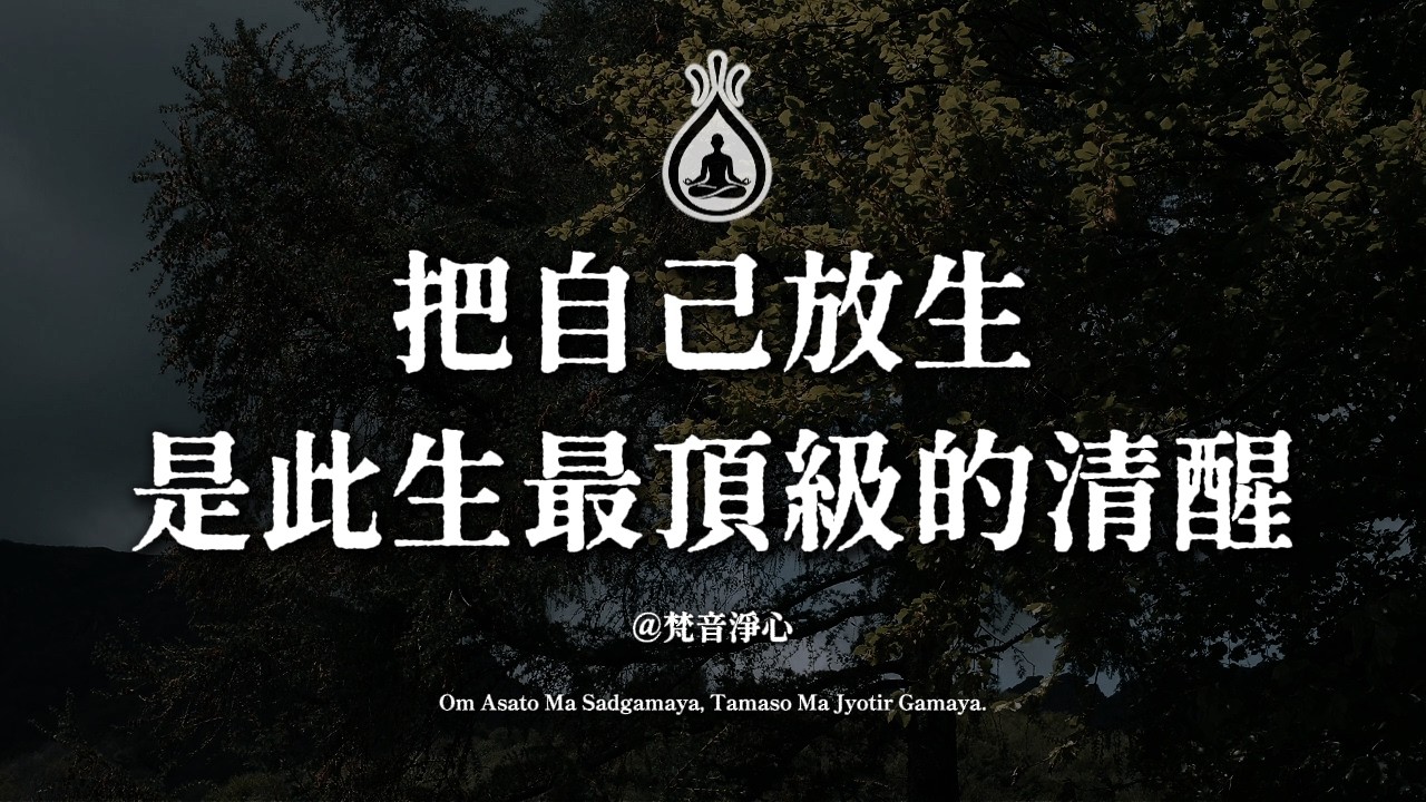 放不下的從來不是別人，而是自己，放过自己，把自己放生，是此生最頂級的清醒#學會放下 #放下執念 #愛自己 #情緒管理 #心靈成長 #人生哲理 #佛法開示 #內心平靜 #斷捨離 #正念生活