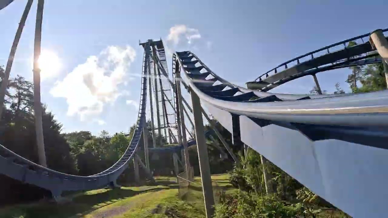 Wild Eagle