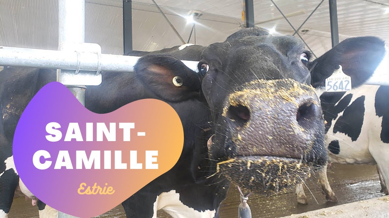VOYAGE TON QUÉBEC - Saint-Camille, village agriculturel