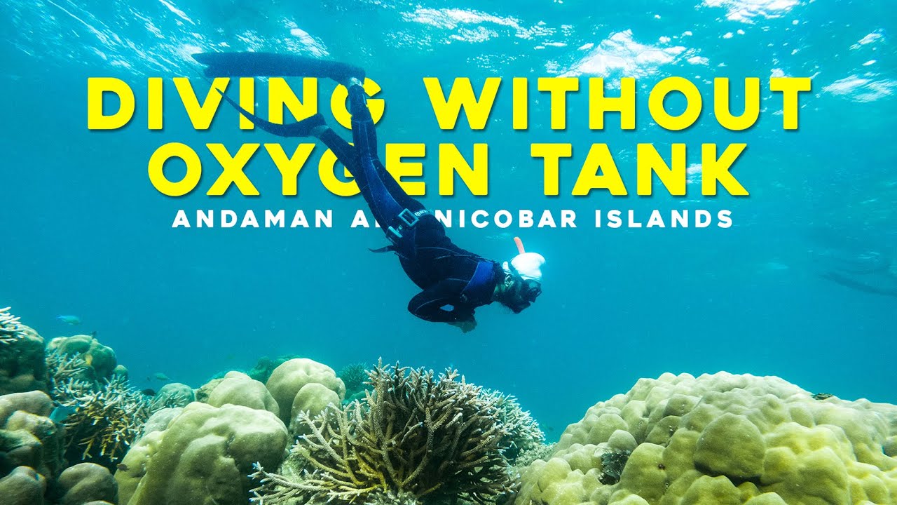 What is Free Diving ? Is it Safe? | Andaman and Nicobar Islands | #freediving