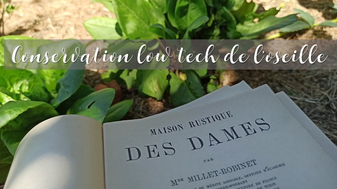 Maison Rustique des Dames - 1893 - Conservation de l'oseille low tech, le test !