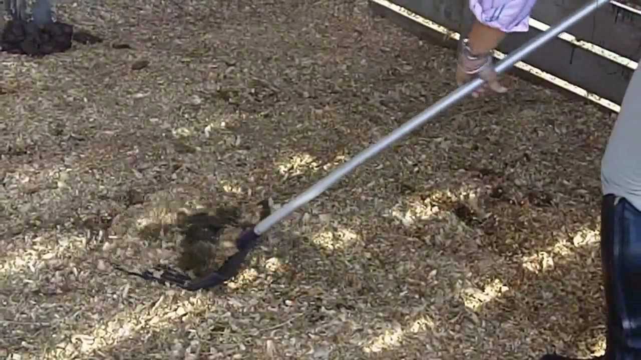 How To Clean A Horse Stall - AllHorseTalk.com