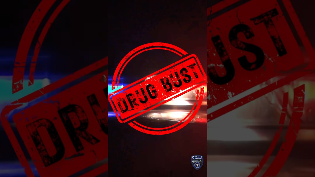 Drug Bust!