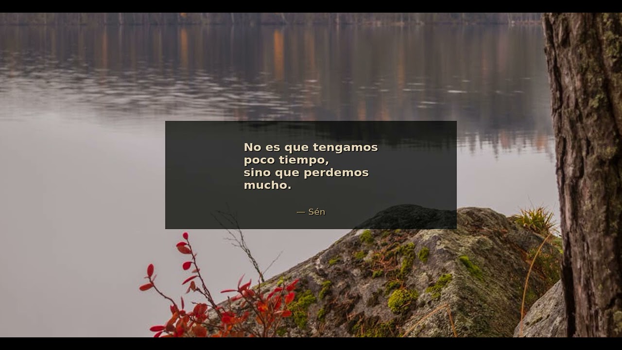 No es que tengamos poco tiempo, sino que perdemos mucho. - Séneca | Disciplina Estoica