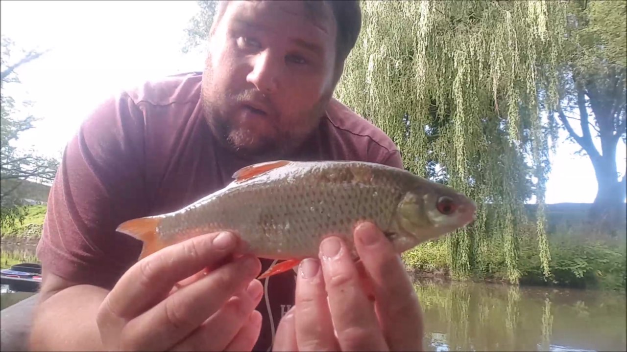 River Dane Fishing On The Stick Float
