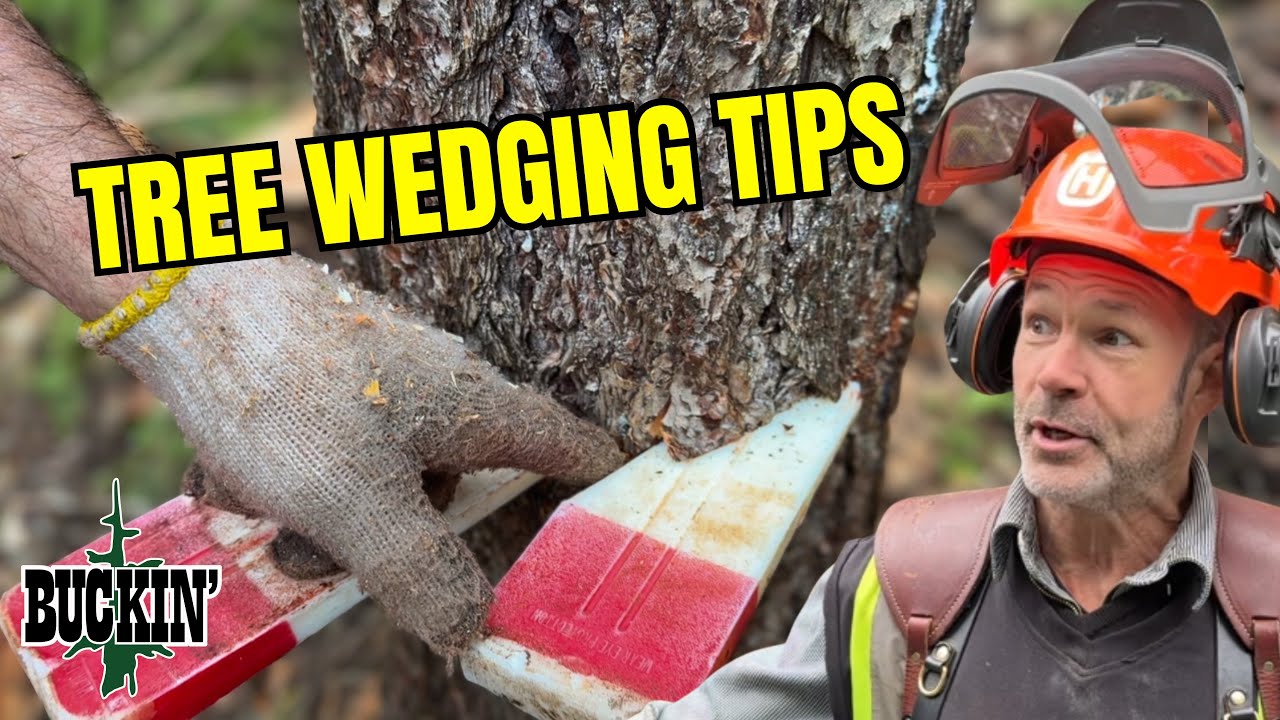 BAD TREE! Sneaky Wedge For The Win 