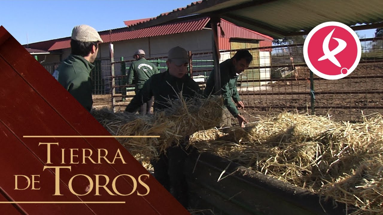 La Universidad del Mayoral en Moraleja | Tierra de Toros