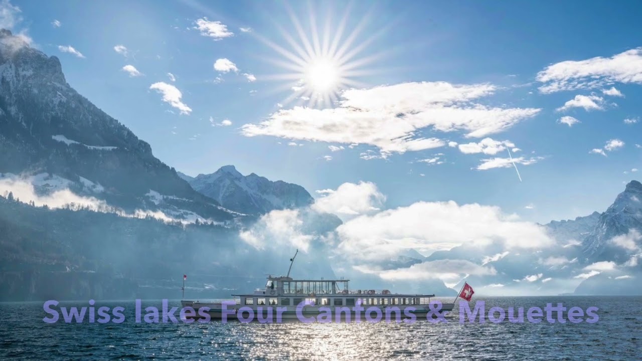 Swiss lakes | Lake Geneva | Four Cantons Lake | Mouette | Seagulls | Swiss travel pass | Switzerland
