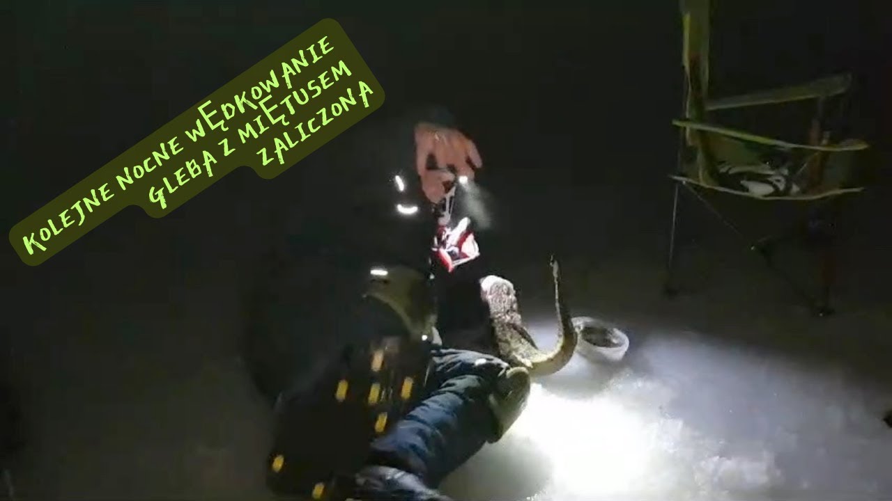 Nocna zasiadka na miętusa.