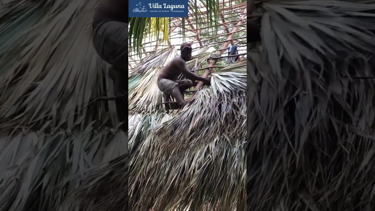 How Palm Roofs Are Actually Made (Nicaraguan Style) #shorts