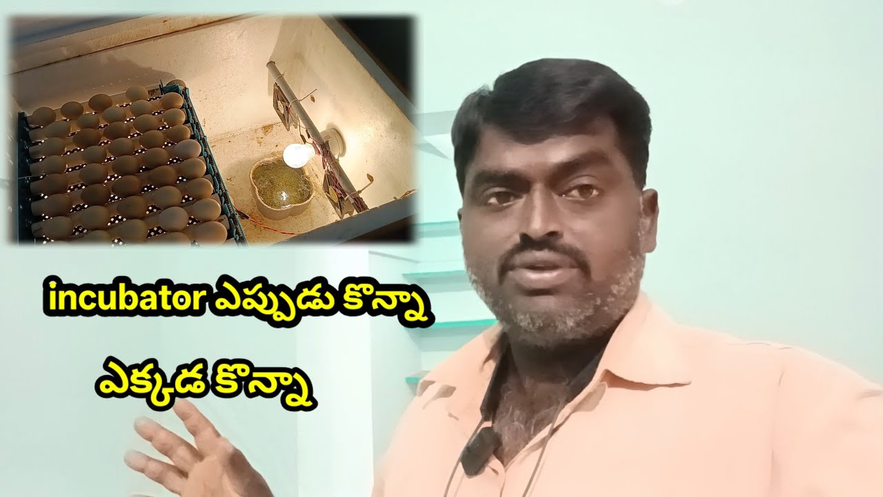 Incubator ఎప్పుడు ఎక్కడ కొన్నా ఎలా వర్క్ చేస్తుంది