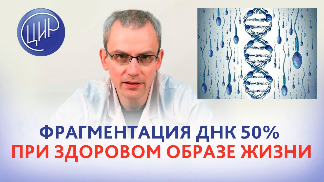 Фрагментация ДНК сперматозоидов 50% и 3 неудачных ИКСИ при здоровом образе жизни. Что делать?