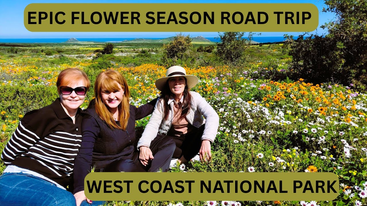 Epic Flower Season Road Trip | West Coast National Park #WestCoastNationalPark