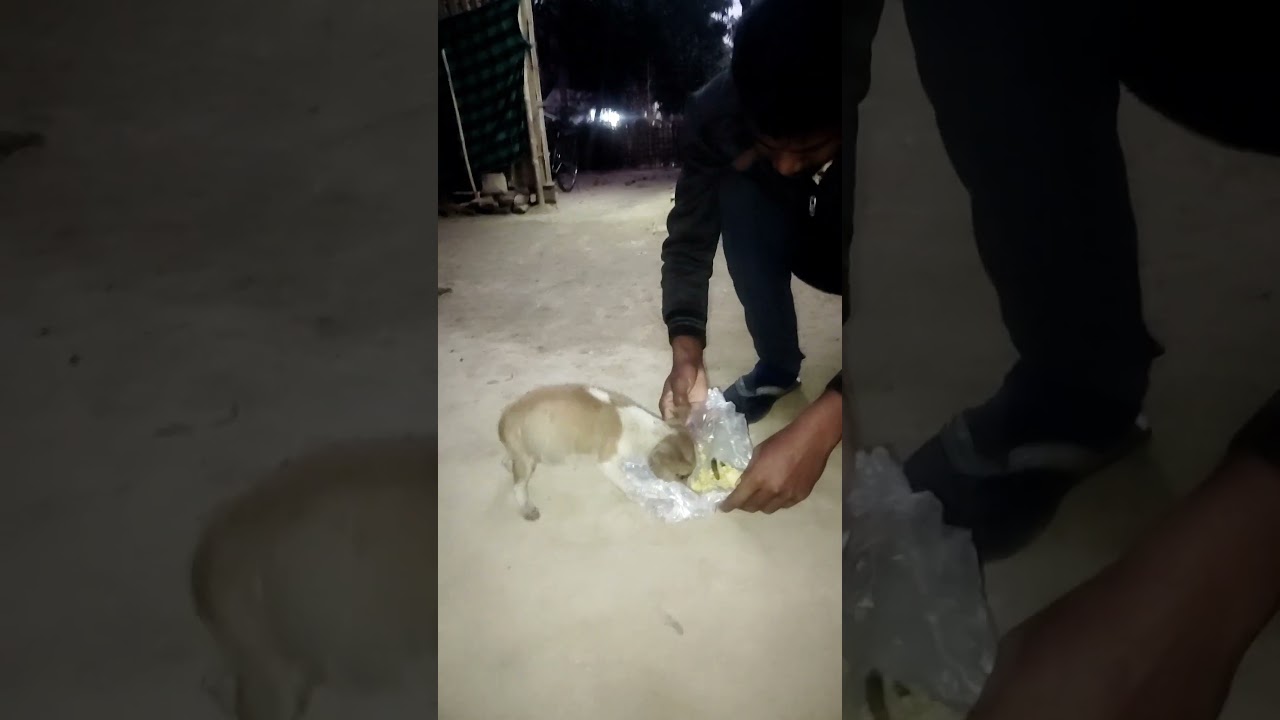 zindagi kuch to bata|| 