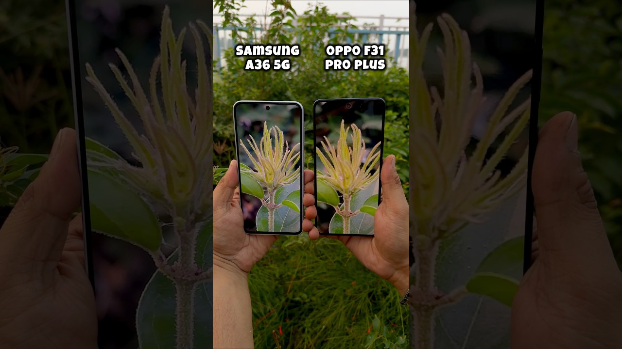 Samsung A36 5g Vs Oppo F31 Pro Plus Camera Comparison #mobilepapa #shorts