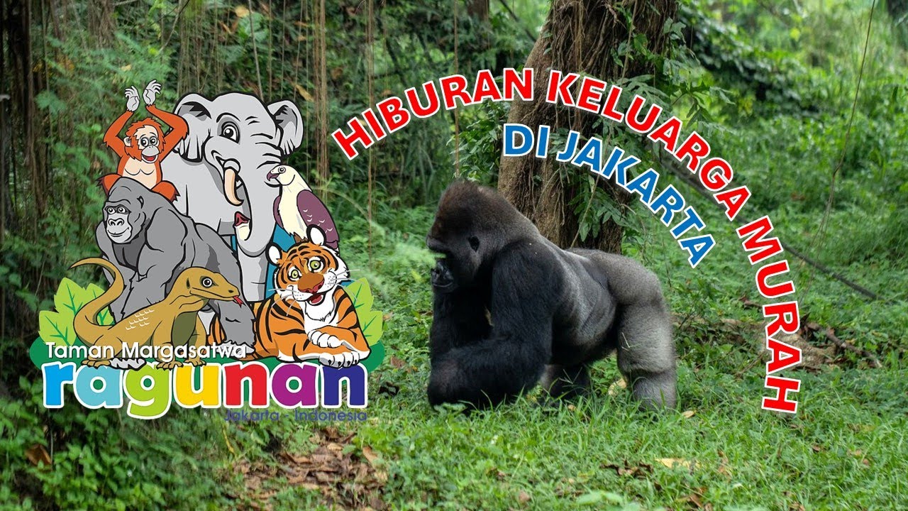 EXPLORE RAGUNAN ZOO | TAMAN MARGASATWA RAGUNAN | KEBUN BINATANG RAGUNAN TERBARU 2025