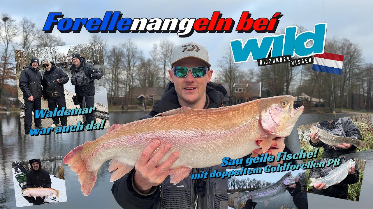 Forellenangeln bei WILD bijzonder vissen in der Niederlande - PB & Waldemar getroffen! #troutfishing