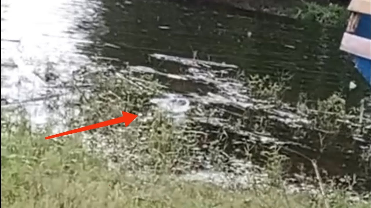 Mancing ikan gabis di waduk jatigede