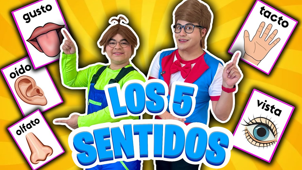 Meme no quiere regresar a la escuela | Meme no quiere estudiar | ¿Cuáles son los 5 sentidos?