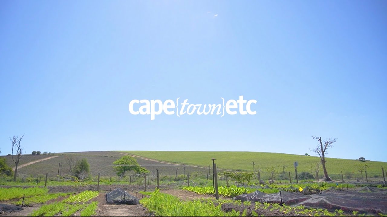 WATCH: A tasty adventure into Spier's brand new food garden