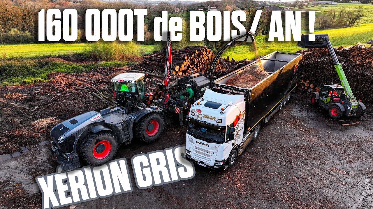 🤯160 000T de BOIS/AN : une JOURN&Eacute;E dans cette ETS FORESTI&Egrave;RE : BROYEUR NOREMAT / ABATTEUSE / PORTEUR