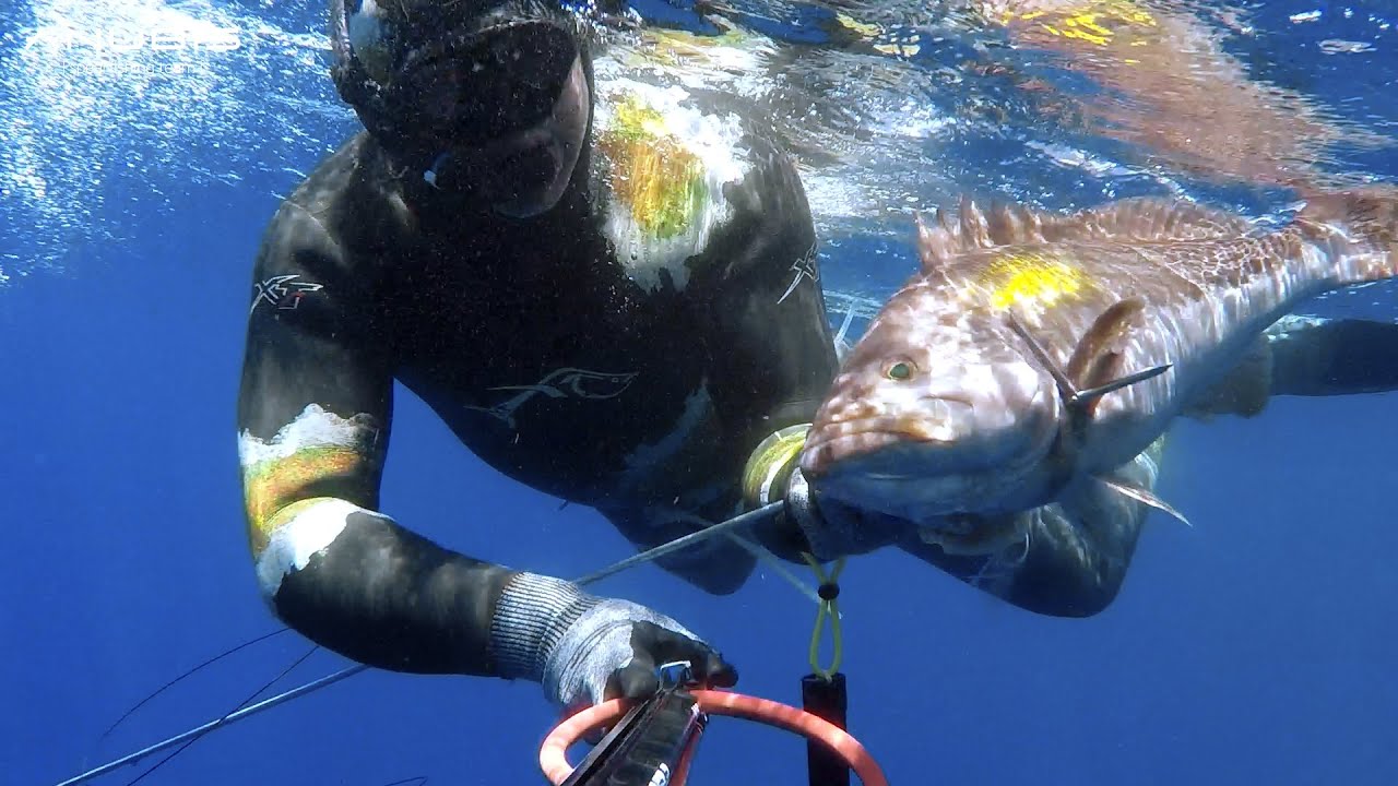 EPISODE#04 - ANUBIS SPEARFISHING ADVENTURES